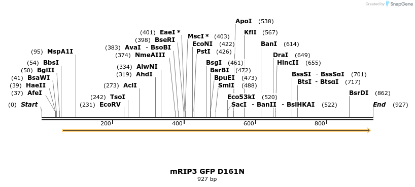 56271_map