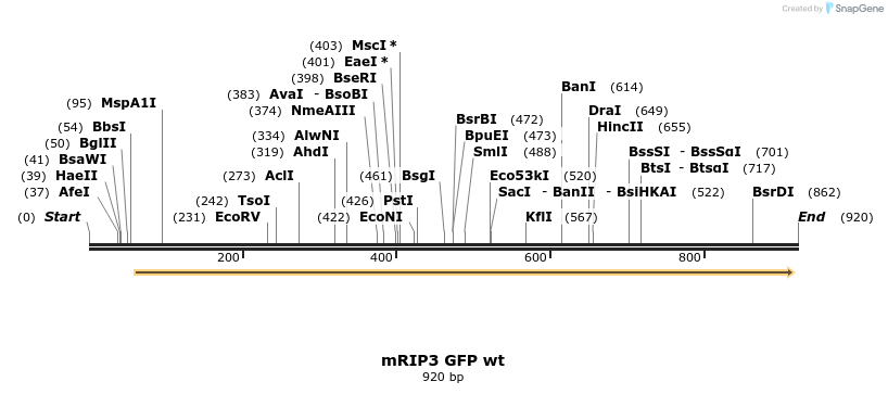 56272_map