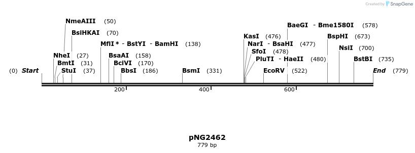 56279_map