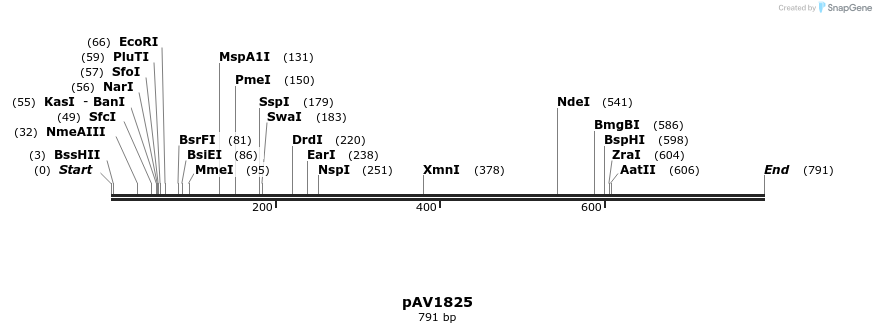 56281_map