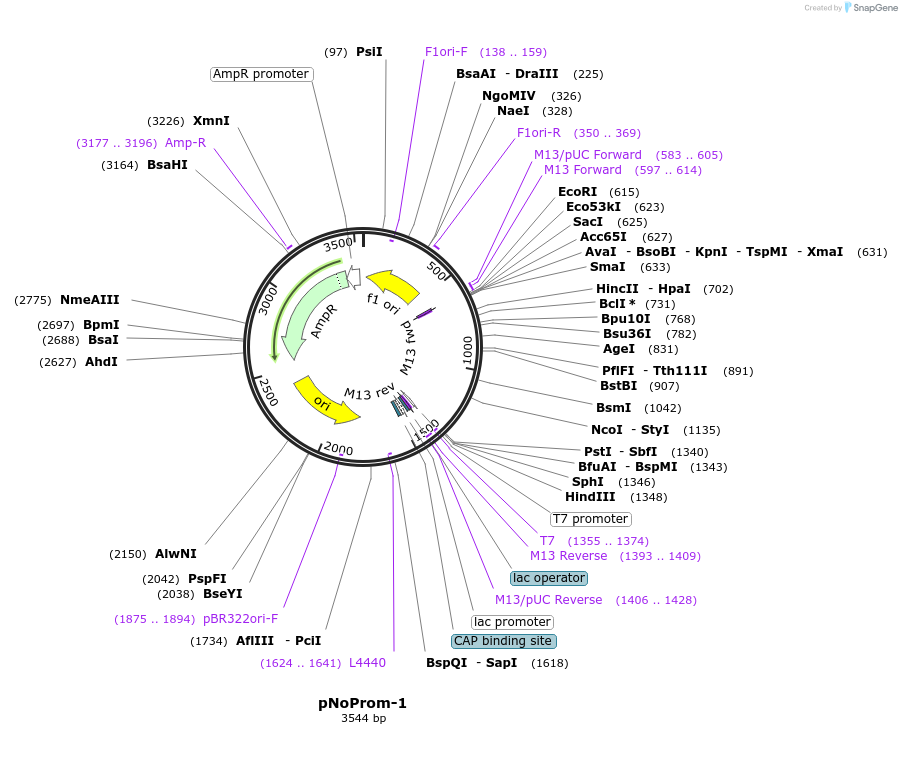 56290_map