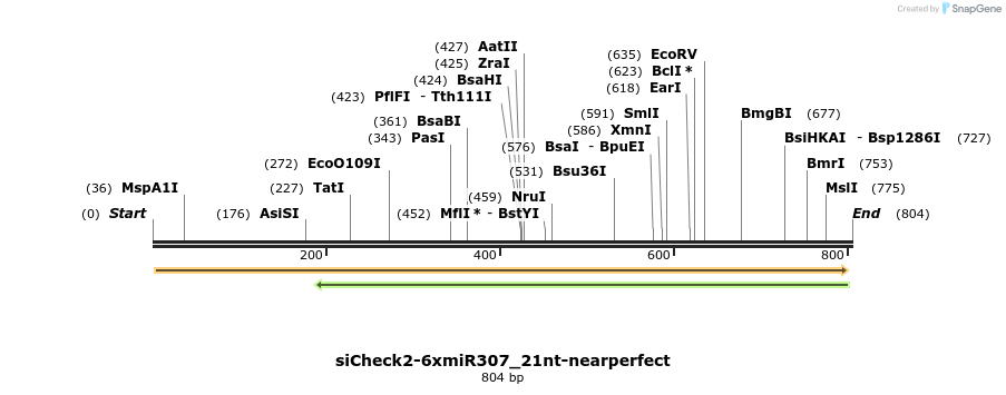 56291_map