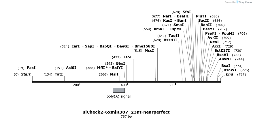 56293_map