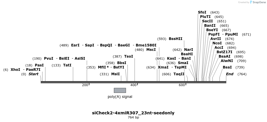 56294_map