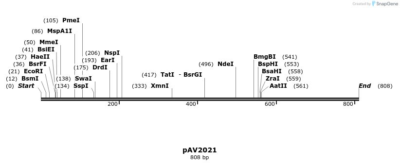 56301_map