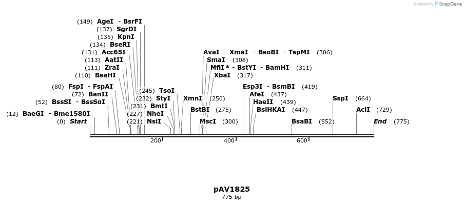 56302_map