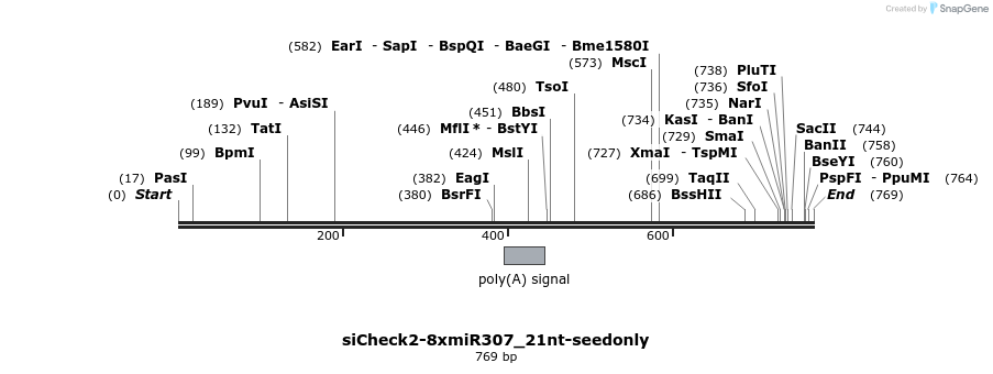 56307_map