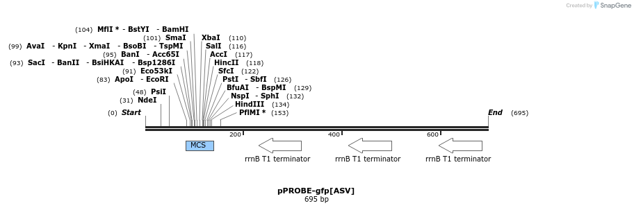56311_map