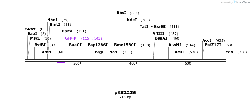 56316_map