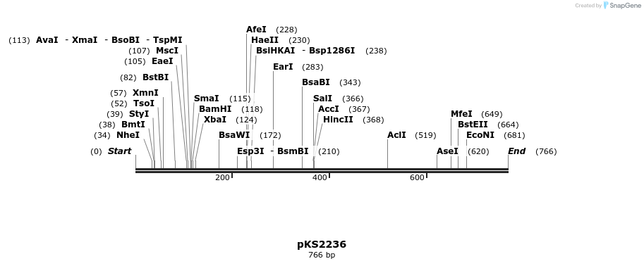 56317_map