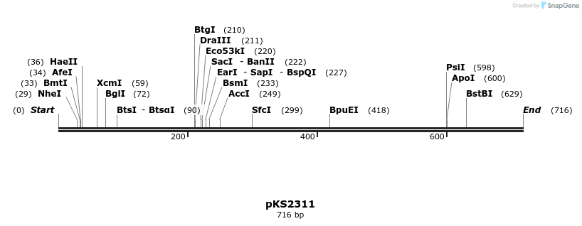 56318_map