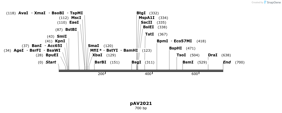 56321_map