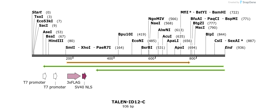 56327_map