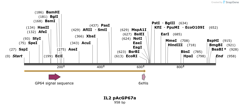 56330_map