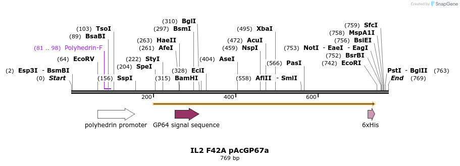 56331_map