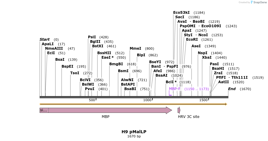 56336_map