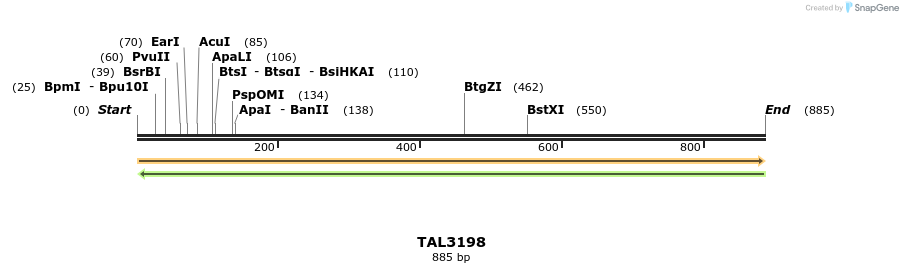 56338_map
