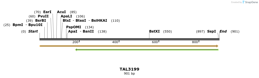 56339_map