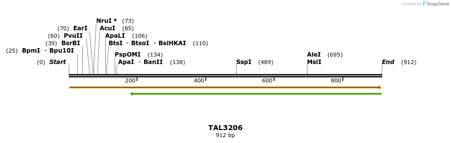 56342_map