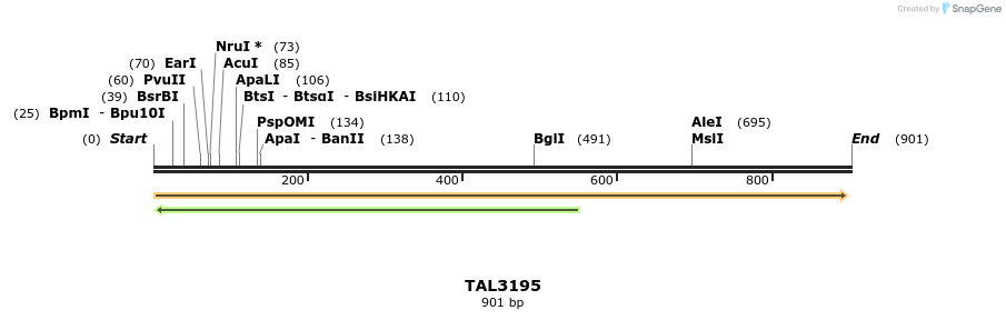56345_map