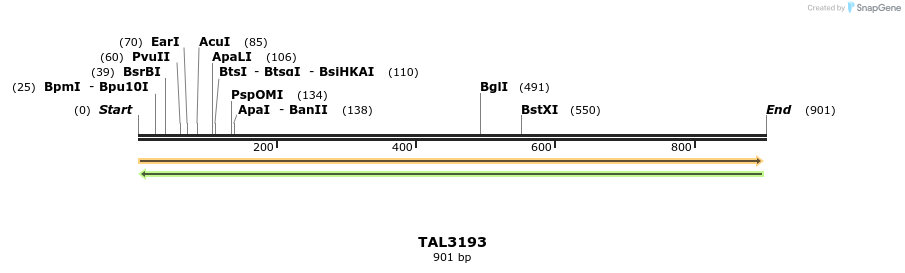 56351_map