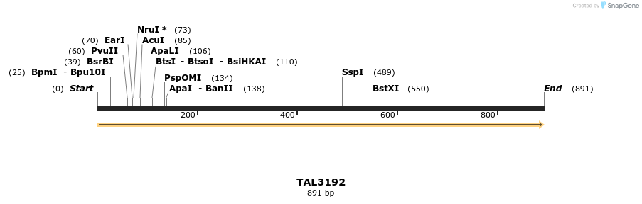56352_map