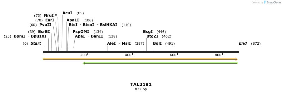 56355_map