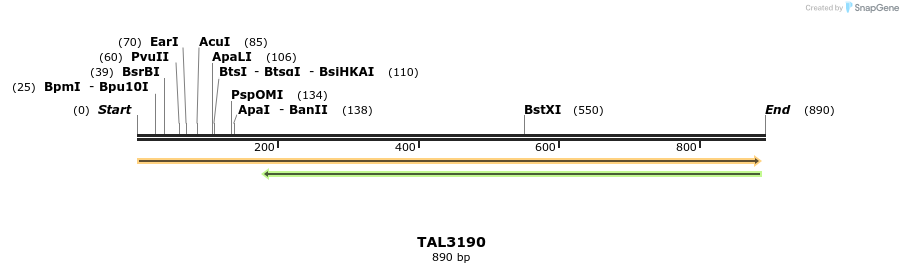 56356_map