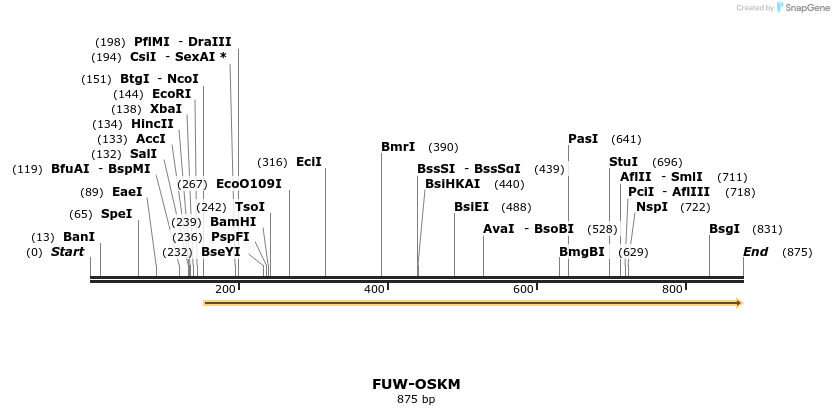 56360_map
