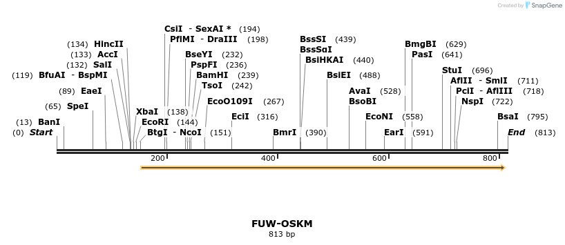 56361_map