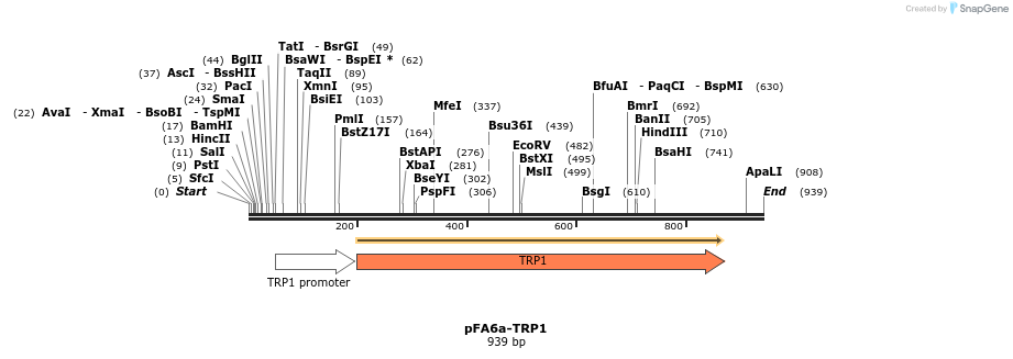 56366_map