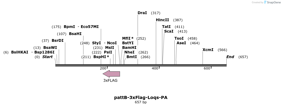 56368_map