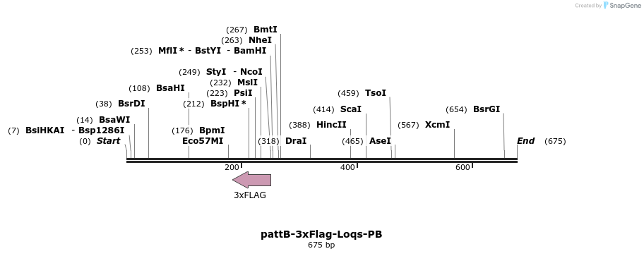 56370_map