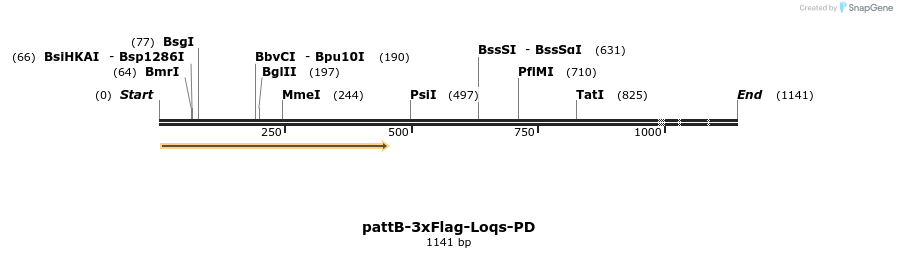 56371_map