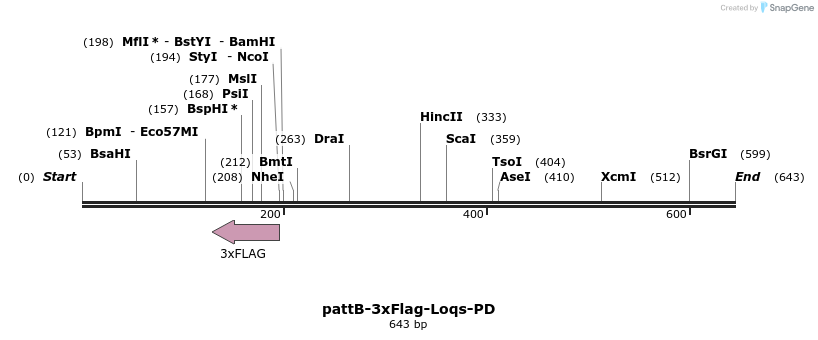 56373_map
