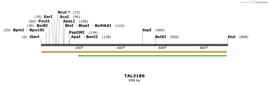 56374_map