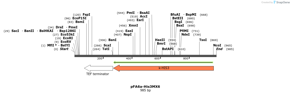 56376_map