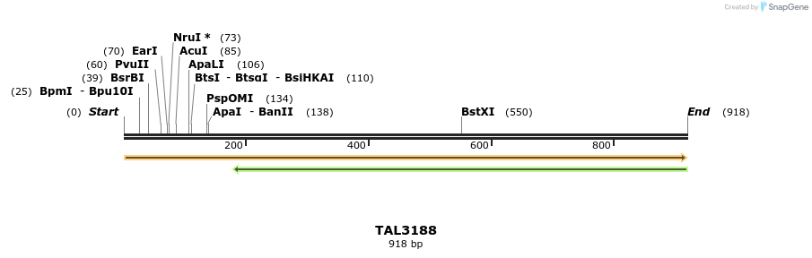 56377_map