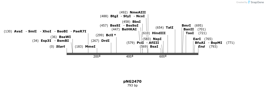 56378_map