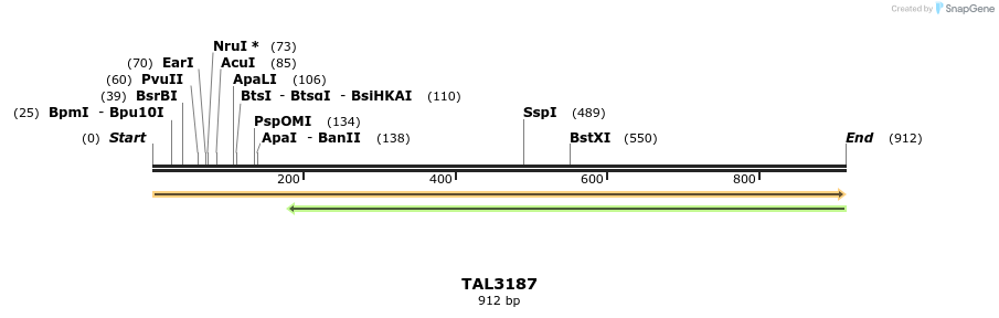 56380_map