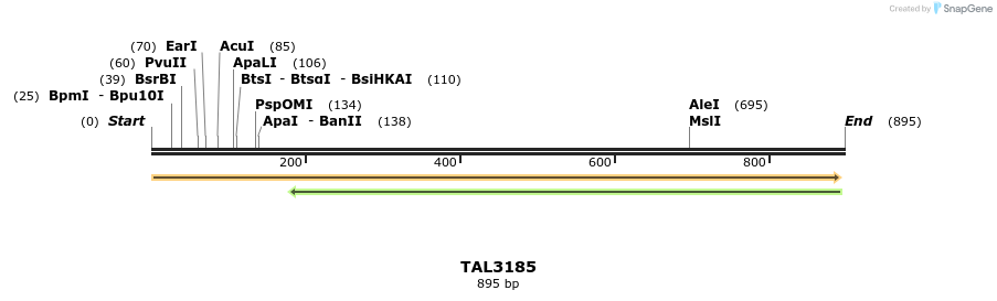 56382_map