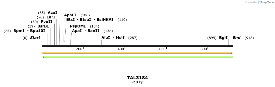 56383_map