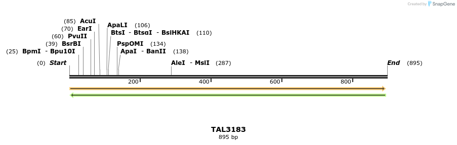 56384_map