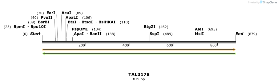 56386_map