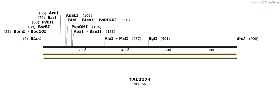 56389_map