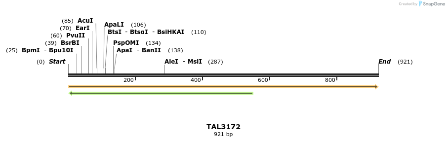 56391_map