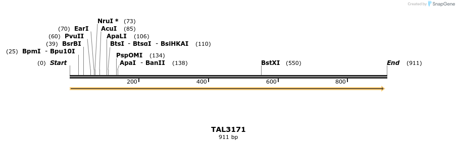 56392_map