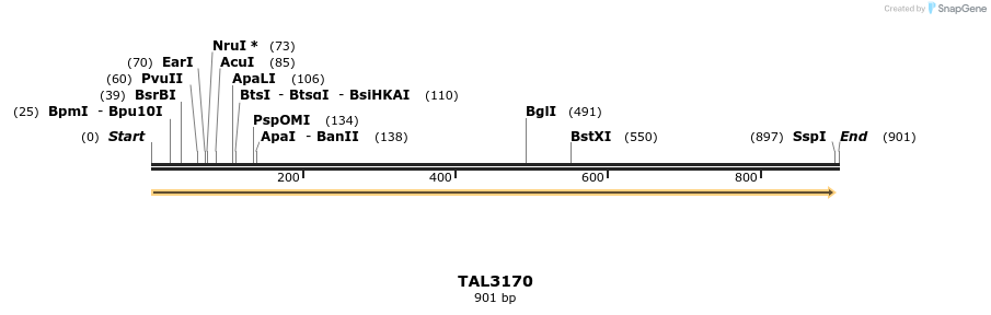 56394_map