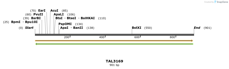 56395_map