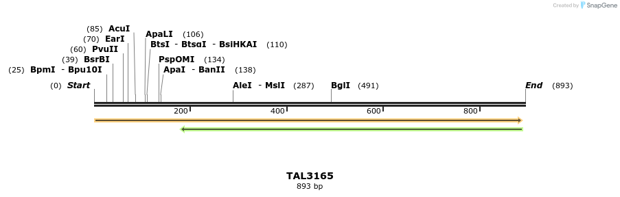 56399_map